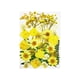 thumbnail image 1 of Billuyoard Conjunto de flores secas para decoración de álbumes de recortes Decoración del hogar Tipo 3 Billuyoard HA062478-03B, 1 of 6