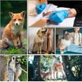 thumbnail image 3 of Pet Bandage 21' Long Tape Bulk Packs Dog Cat Horse Goat Pig Any Animal Vet Wrap (2 inch - 5 Rolls), 3 of 6