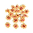 thumbnail image 1 of KLKCMS 20 Iron-on Patches For Decorative Sewing Clothing Yellow, 1 of 9