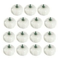 thumbnail image 5 of TABLZONE 15Pcs Creative White Pumpkin Decoration for DIY Painting and Autumn Festival Use, 5 of 7