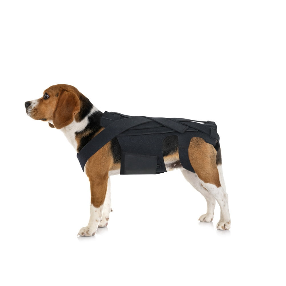Dog Back Brace for IVDD,Pet Dog Back Brace Comfortable Full Body Harness Dog Cloth polyester00X230