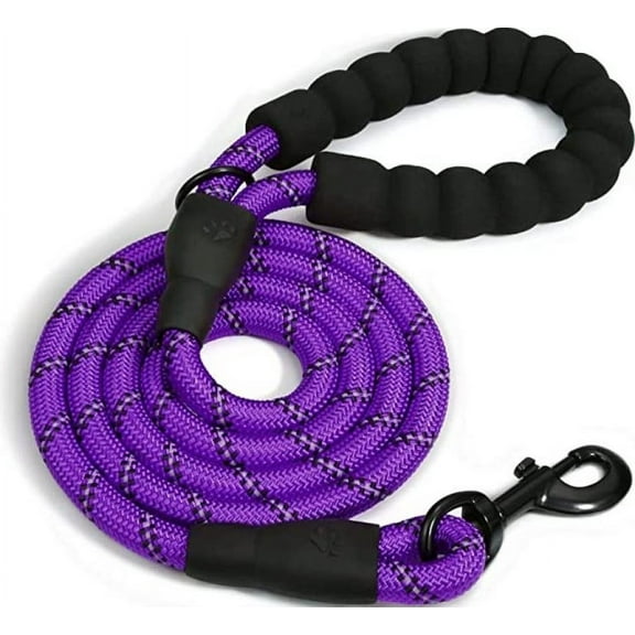 Doggy Tales Braided Leash 5FT - Purple