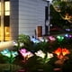2PCS Extérieur Solaire Jardin Piquet Lumières Fleur Lampe RGB Multi-Couleur Changeant LED – image 1 sur 2