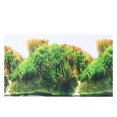 thumbnail image 2 of Autocollants Décoratifs Double Face pour Aquarium, Fond pour la Maison, 2 of 6