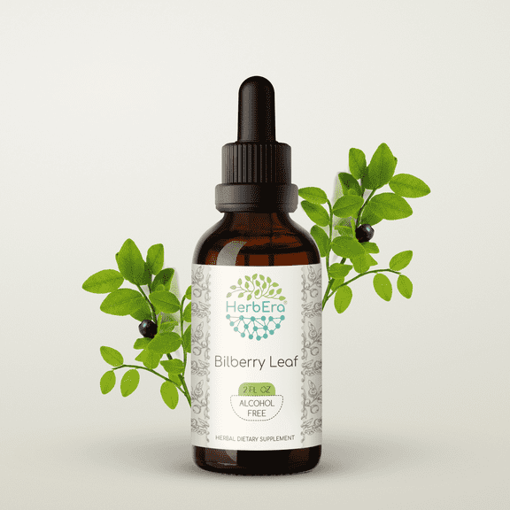 HerbEra Bilberry Leaf Tincture, Herbal Dietary Supplement for Eye Health Support, Bilberry (Vaccinium myrtillus) Dried Leaf Extract, Natural, Alcohol-Free, Drops 2 oz
