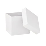 White Gift Box by Celebrate It - Walmart.com