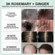 thumbnail image 5 of Rosemary Infused Scalp Treatment, 50ml for Strong and Hydrated Hair, 5 of 5