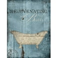 thumbnail image 2 of Grey, Jace 19x24 Black Ornate Wood Framed with Double Matting Museum Art Print Titled - Rejuvenating Bath, 2 of 4