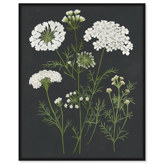 Wildflower Umbel I Canvas Print Farmhouse Art by Art Remedy, Black Frame, 16 x 20