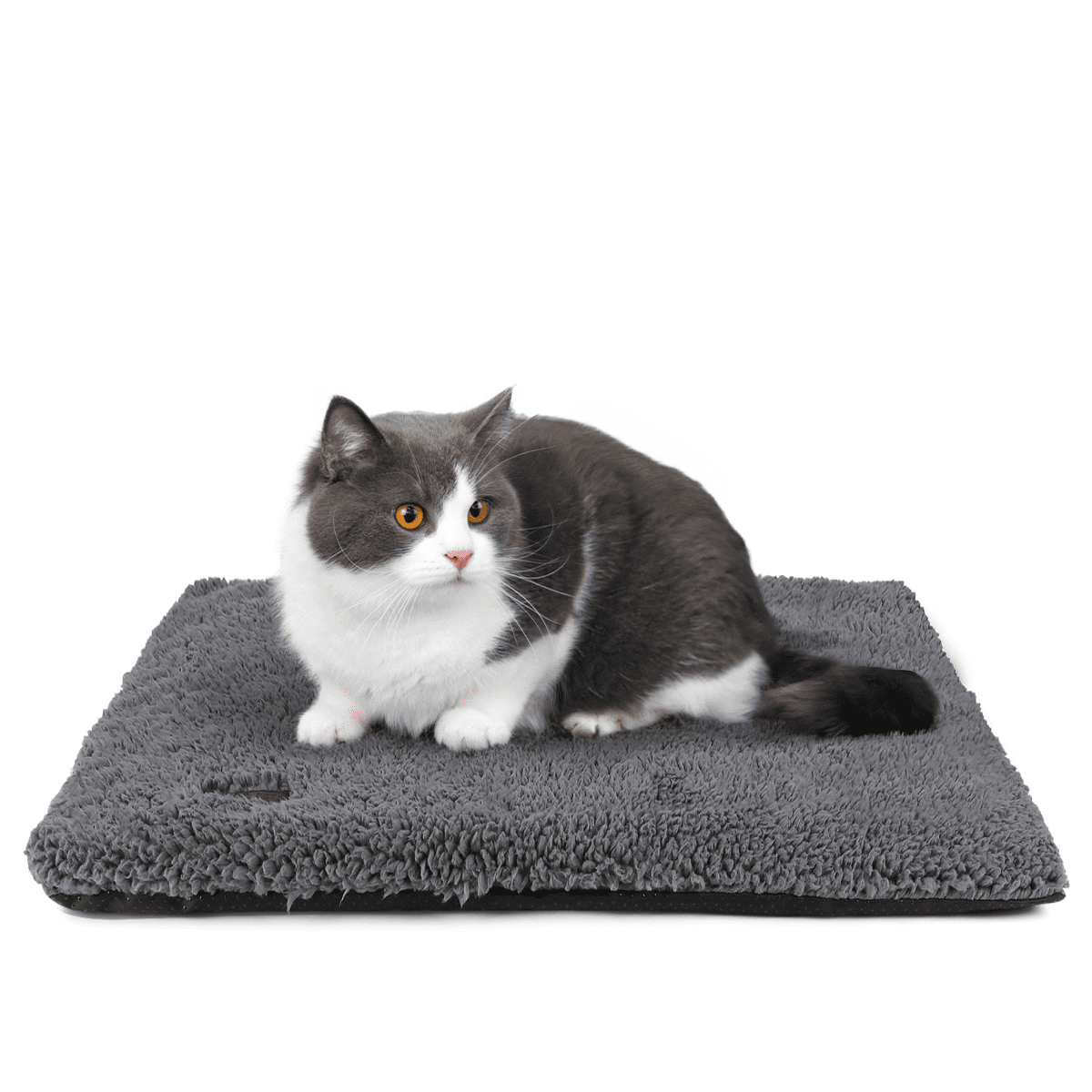 Pawtasy Self-Warming Cat Bed with Washable Cover photo 7