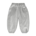 thumbnail image 4 of ZOYOEN Girls Sweatpants with Pockets- Casual Baggy Elastic Waist Cotton Kids Joggers Pants Gray Size 3 T, 4 of 6