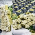 thumbnail image 3 of 100 Packages Of Fruit And Vegetable Seeds Sowing Substrate For Hydroponic Seedling Cultivation, Cube Soilless Cultivation Substrate For Sowing Rock Wo, 3 of 5