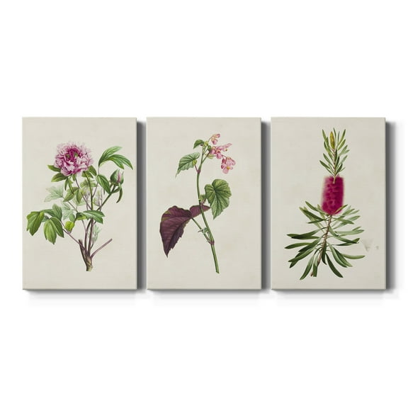 Pretty Pink Botanicals V Premium Gallery Wrapped Canvas - Ready to Hang - 12 x 18 Each