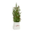 thumbnail image 3 of Melrose Potted "Joy" and "Peace" Pine Artificial Christmas Tree - 16.5" - Unlit, 3 of 3