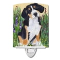 thumbnail image 1 of Carolines Treasures SS8216CNL Entlebucher Mountain Dog Ceramic Night Light, 6x4x3, Multicolor, 1 of 1