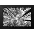 thumbnail image 2 of Aledanda 14x11 Black Modern Framed Museum Art Print Titled - Looking Up I BW, 2 of 5