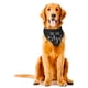 thumbnail image 3 of Bandana para perros de boda, paquete de 2, bufanda para perros, anuncio de compromiso para perros y gatos, 3 of 6
