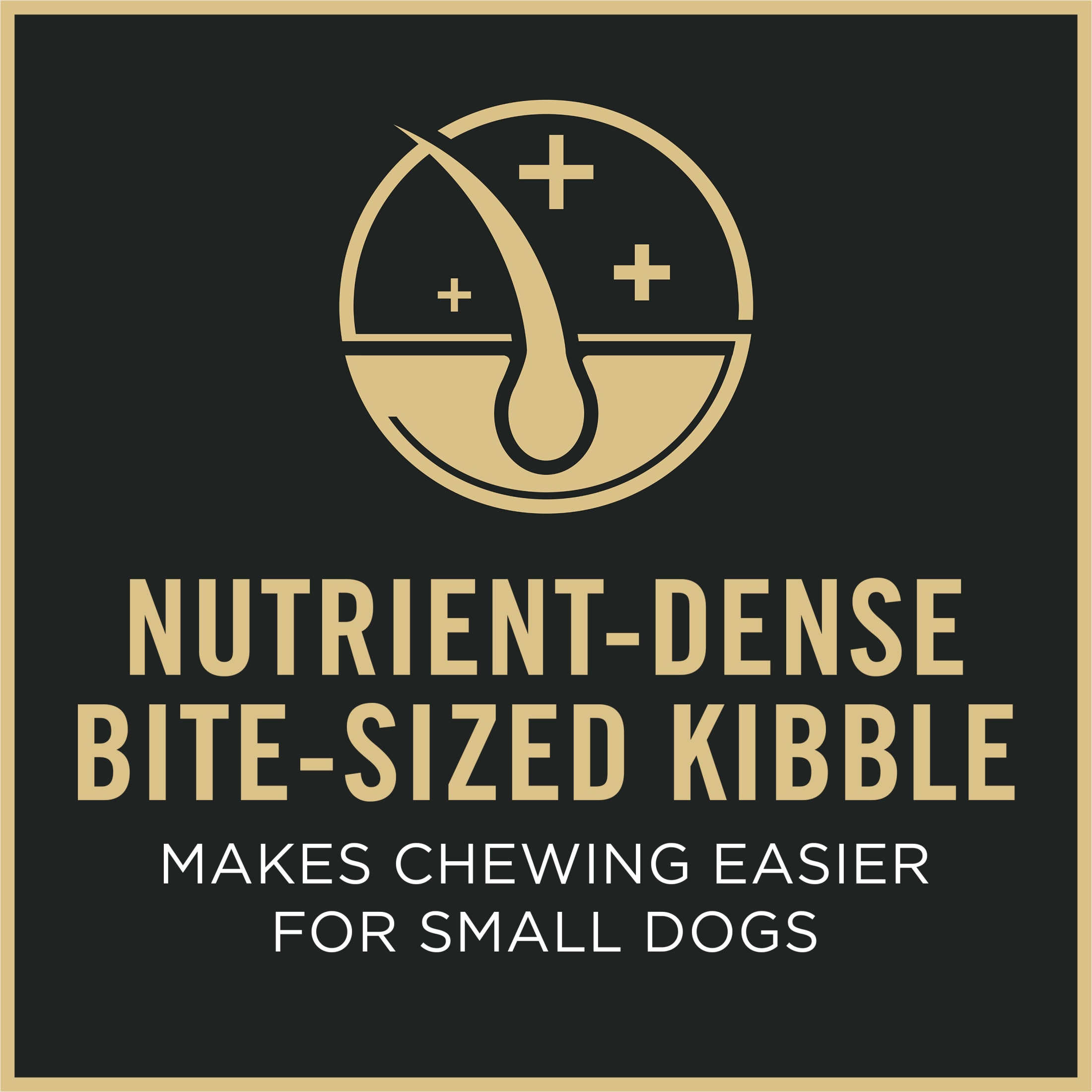 Purina Pro Plan 7 Plus Small Breed Senior Chicken and Rice photo 4