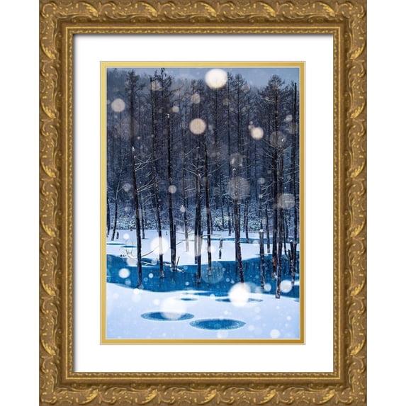 Sono, Hidenori 11x14 Gold Ornate Wood Framed with Double Matting Museum Art Print Titled - Never never Land