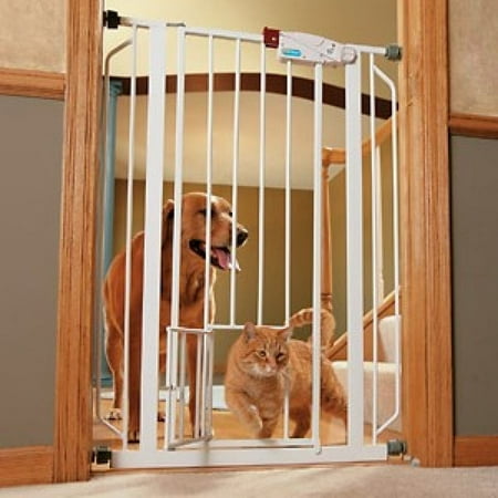 Carlson Hardware Pet Gates 916040 Carls Walk Through Gate With Pet Door 42 Inch Wide