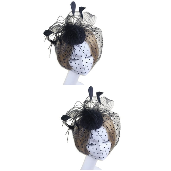 2pcs Retro Style Bird Cage Mesh Bridal Face Veil Feather Fascinator Hair Clip (Black)