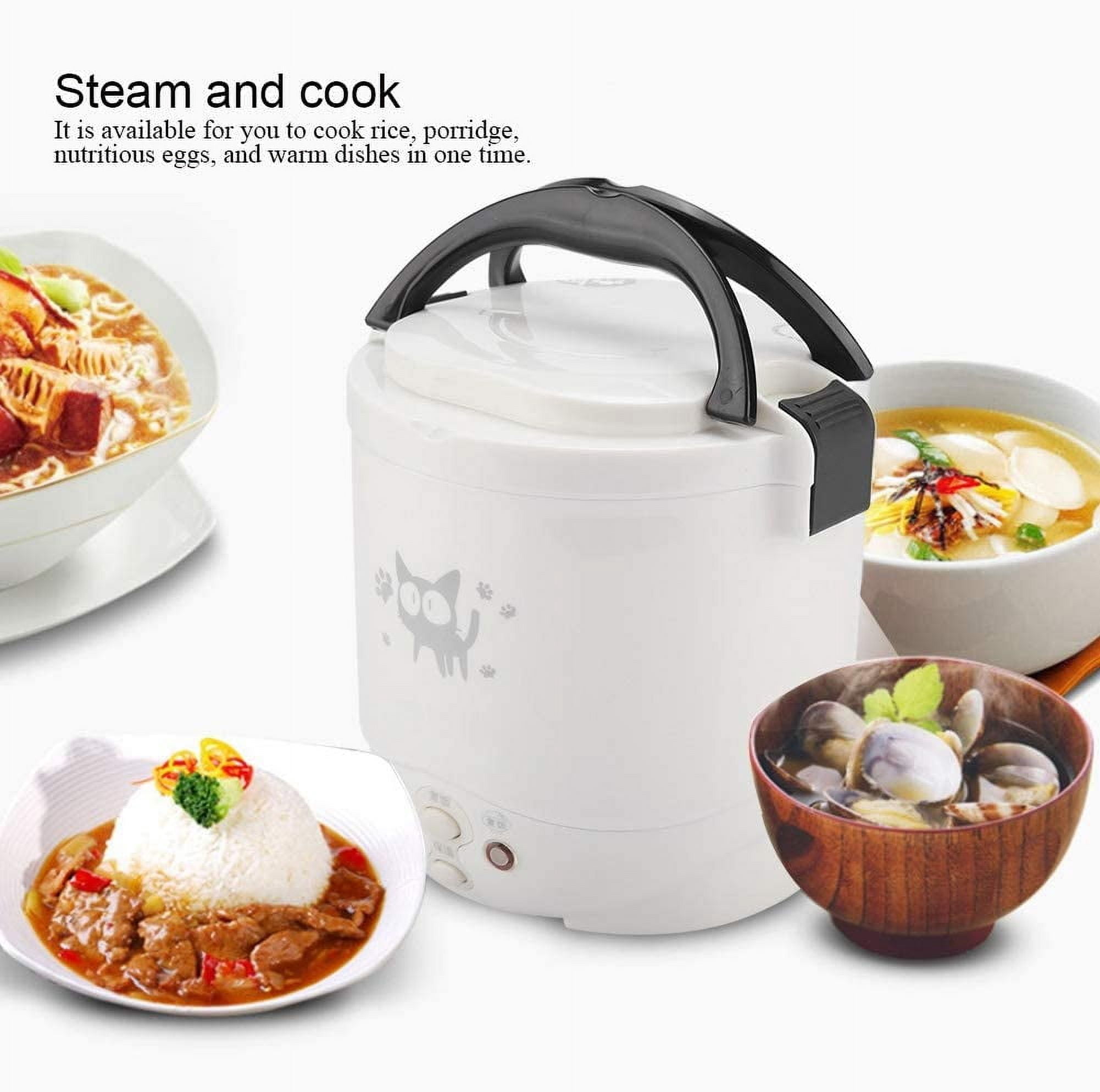 Rice Cooker 12V Electric Lunch Box Portable Travel Cooker with  Warm Function Non Stick Pot for Car Camping