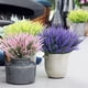 thumbnail image 3 of Xiao Hua 12 manojos de flores artificiales de lavanda y plástico morado (rosa), 3 of 5