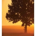 thumbnail image 3 of Tree Duvet Cover Set, Lonely Tree on the Field at Sunrise in Warm Color Countryside Foggy Morning Scenery, Decorative 2 Piece Bedding Set with 1 Pillow Shams, Twin Size, Brown Orange, by Ambesonne, 3 of 3