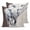 Grey, variant on Pillow Covers 18x18 Set of 2, Vintage Zebra Throw Pillow Covers Decorative Couch Cushion Cover, Modern Art Animal Watercolor Microfiber Soft Square Pillowcases for Bedroom Living Room Sofa
