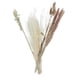 thumbnail image 4 of 30 piezas de hierba seca real, ramo de phragmites, plantas de caña, artesanías florales para Estilo D, 4 of 7