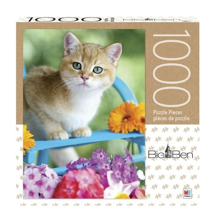 Cardinal Gamesbig Ben 1000 Piece Adult Jigsaw Puzzle Kitten On A Blue Chair Dailymail