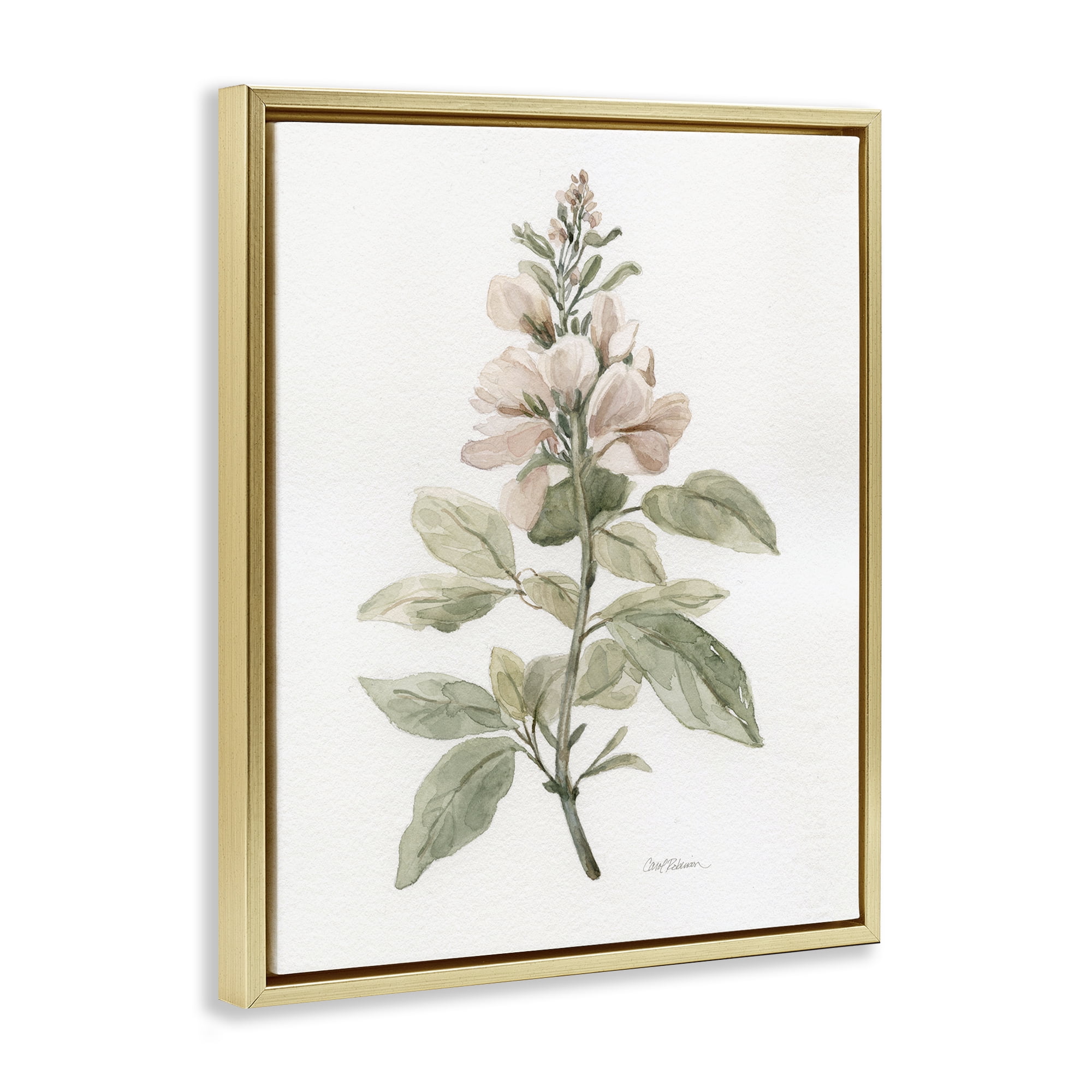 Stupell Industries Subtle Watercolor Botanicals Plants & Flowers Painting Gold Floater Framed Canvas Art Print Wall Art, 25 x 31