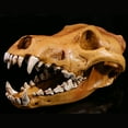 thumbnail image 4 of Sinyiin Anatomical Wolf Skull Replicas Resins Skeleton Teaching Aid Home Decoration, 4 of 11