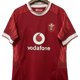 thumbnail image 5 of Camiseta de rugby Gales 2024-25 Camiseta de rugby local y visitante Camiseta de rugby Camiseta de manga corta para hombre, 5 of 5