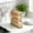 Green, variant on GFHFHITJ Rolling Egg Carton with Side Door, Slide-type Refrigerator Egg Rack & Dispenser, Egg Timer & Storage Box for Household Kitchen