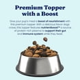 thumbnail image 3 of Solid Gold Nutrientboost Meal Topper for Dogs, Kibble Meal Topper for Support Digestion & Nutrient Absorption, 16oz, 3 of 10