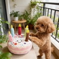 thumbnail image 6 of Squeaky Dog Toy Birthday Cake Plush Toy, Interactive Chew Toy for Dogs, for Birthdays and Celebrations, Encourages Play and Reduces Boredom, 6 of 6