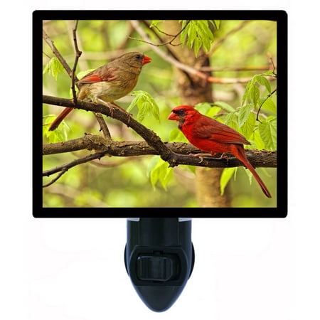 Cardinal Night Light - Night Light - Photo Light - Two Cardinals In Tree - Red Birds
