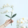 thumbnail image 4 of Artificial Flower Realistic Moth Orchid Fake Flower Fake Plant for Wedding, 4 of 6