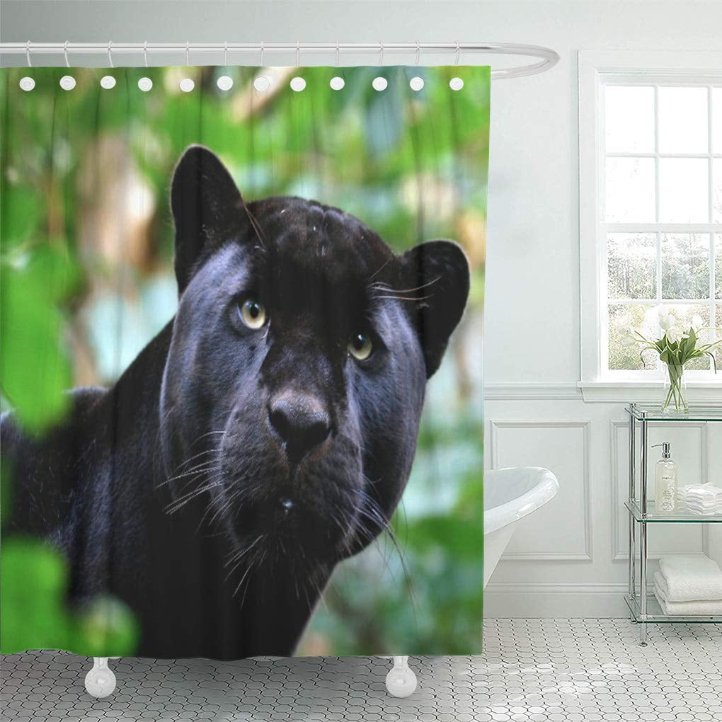 CYNLON Leopard Black Panther Macro Jaguar Jungle Cat Wild Wildcat