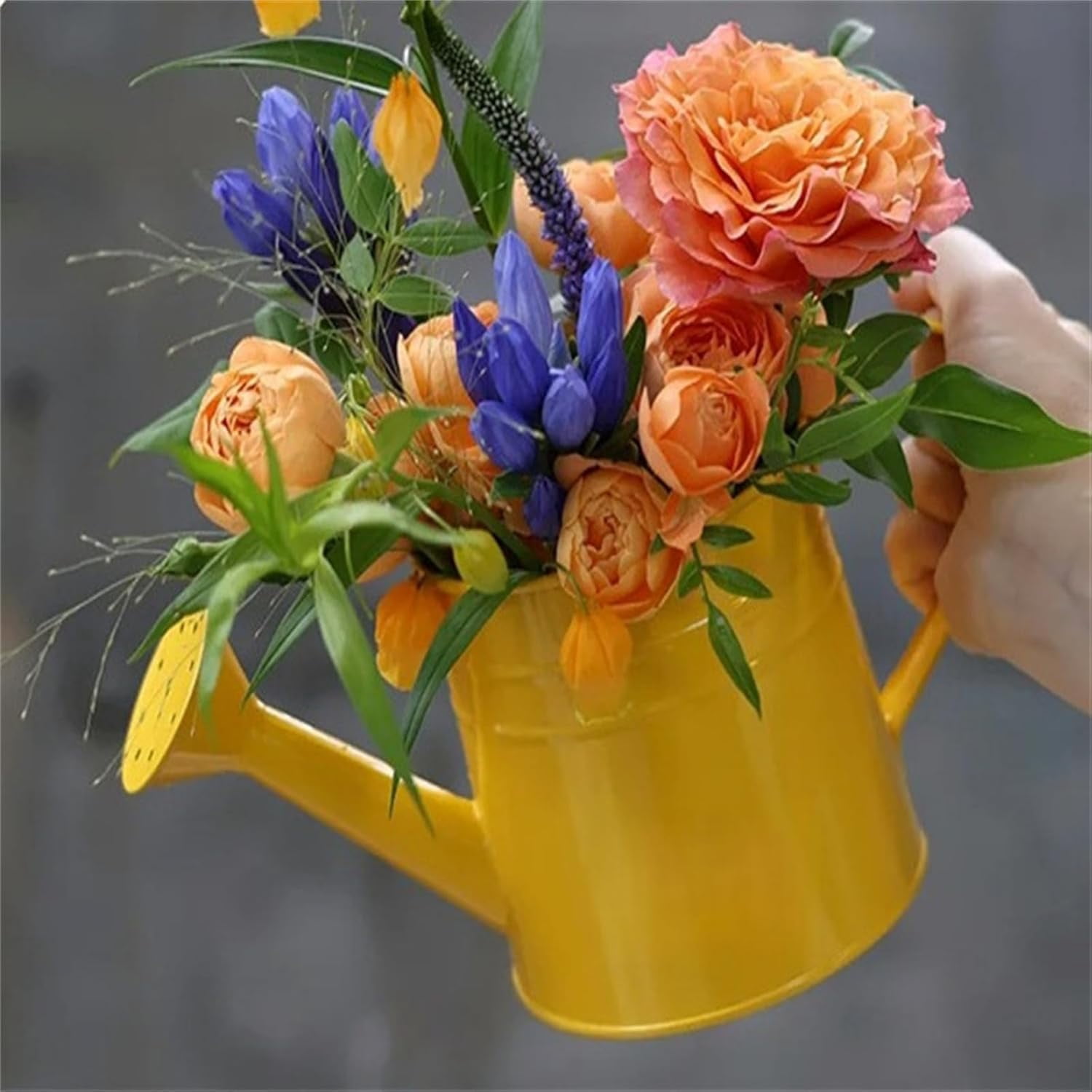 2026 New Metal Watering can,1L Tinplate Watering Kettle,Vintage Metal Waterings Cans for Flowers, Indoor & Outdoor Plants, Lawn & Garden Irrigation Tool (D)