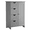 Gray, variant on Lacoo Bathroom Storage Cabinet with 4 Drawers, Side Storage Organizer with 1 Cupboard and 2 Shelves Freestanding Cabinet, White