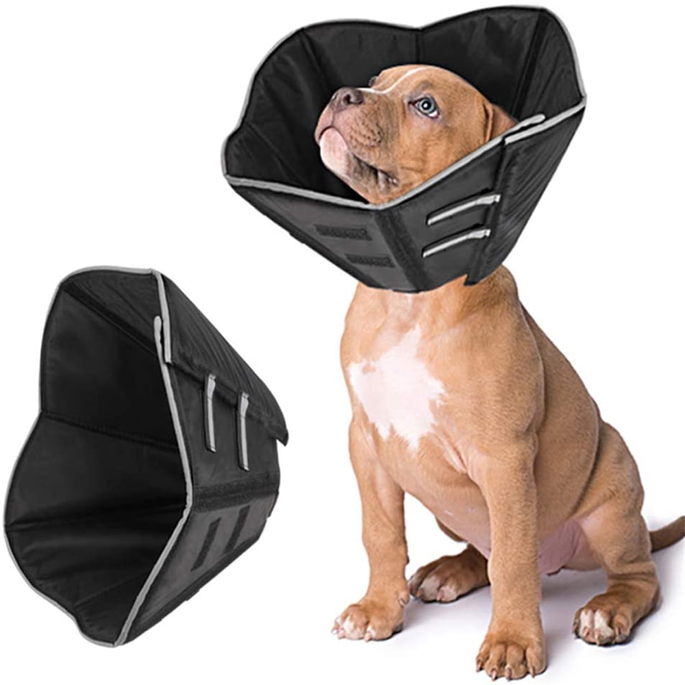 dog cone use