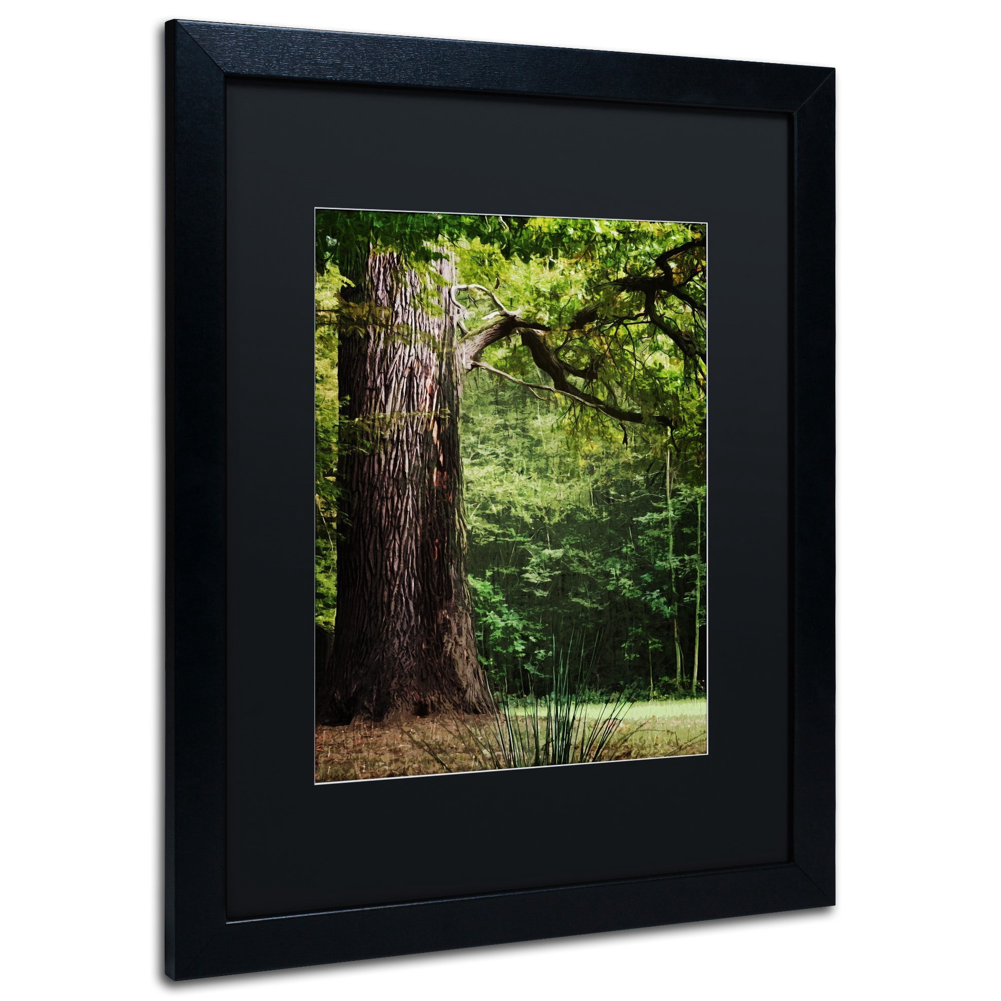 Trademark Fine Art "The old Trunk" Canvas Art by Philippe Sainte-Laudy Black Matte, Black Frame