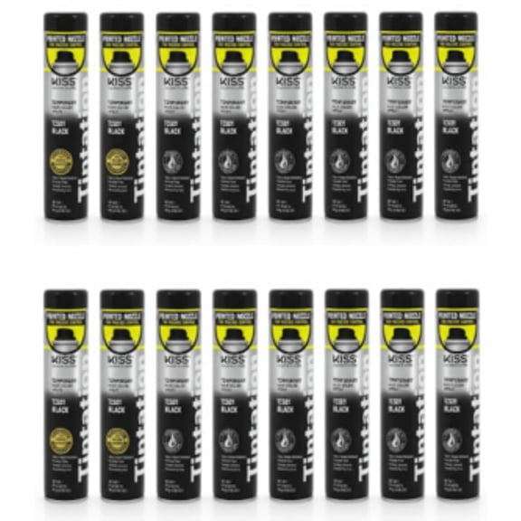 16 Pack Tintation Color Spray TCS01 Black