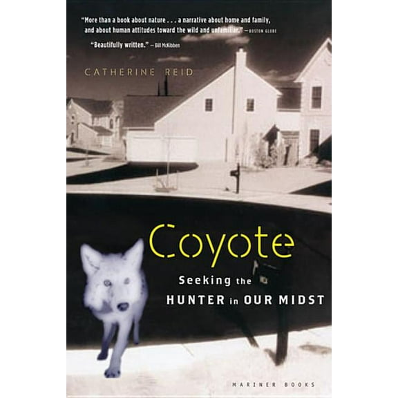 Coyote: Seeking the Hunter in Our Midst, (Paperback)