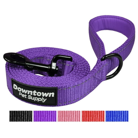 Downtown Pet Supply Reflective Dog Leash with Padded Handle, Purple Leash for Dogs