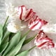 thumbnail image 3 of 1 pieza de flor artificial vívida decorativa de 68 cm, tulipán loro 3D de tacto real, decoración de flores falsas para el hogar, 3 of 8