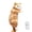 Orange Hang the cat, variant on Hanging Cat Figurine deocr– Realistic Furry Climbing Cat Decoration, Desk & Shelf Accent decor for Office, Home, Car, Monitor Edge