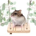 thumbnail image 3 of Juguete de columpio de madera para hámster, columpio de jaula para animales pequeños para rata enana, ratón, jerbo, chinchilla, conejillo de indias, 3 of 5